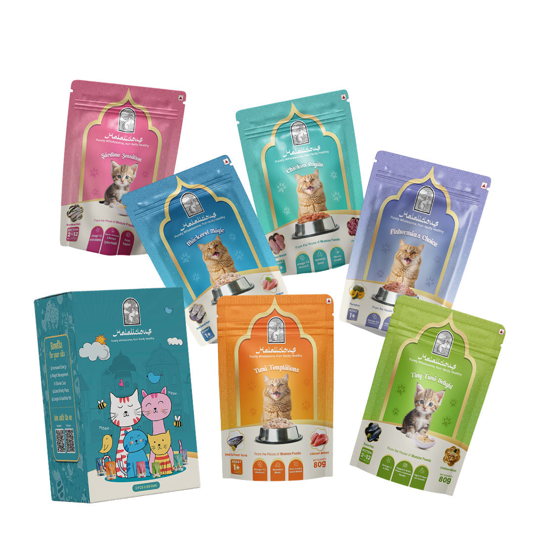 Assorted Trial Pack