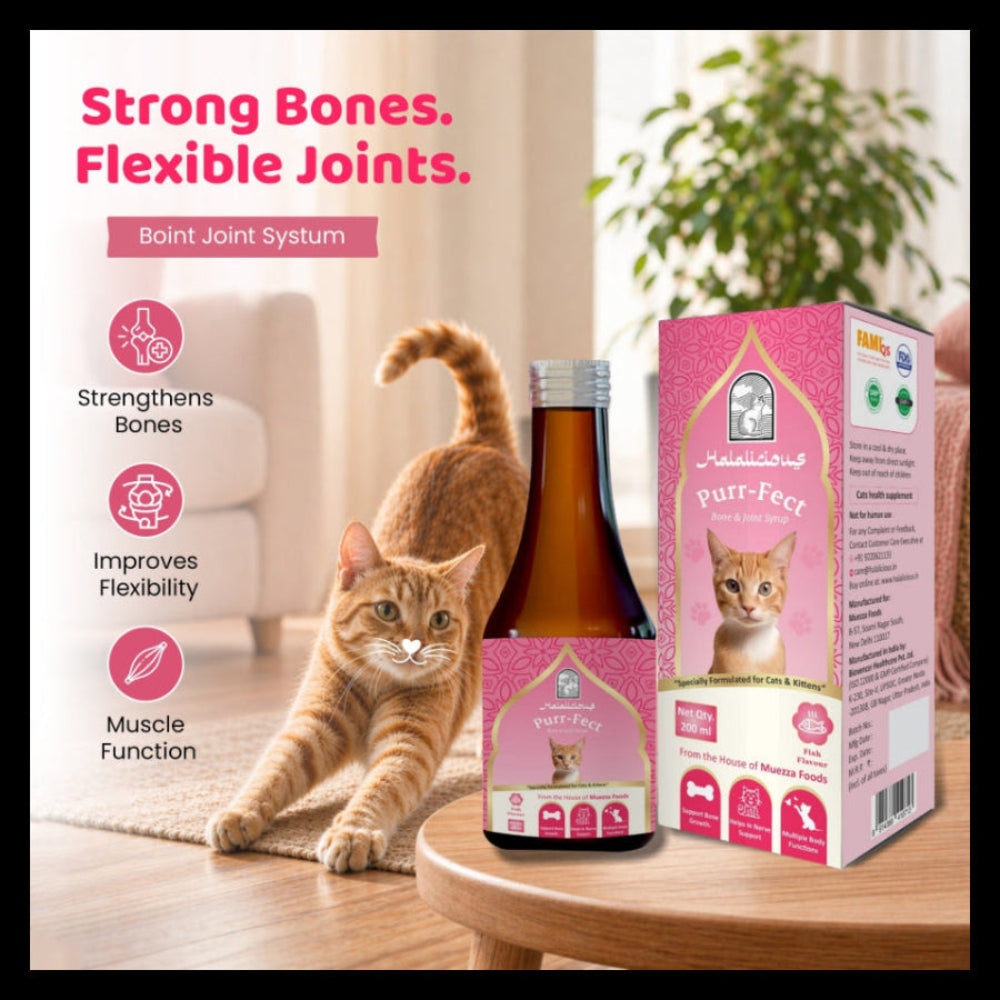 Purr-fect Bone & Joints Syrup for Cats & Kittens.