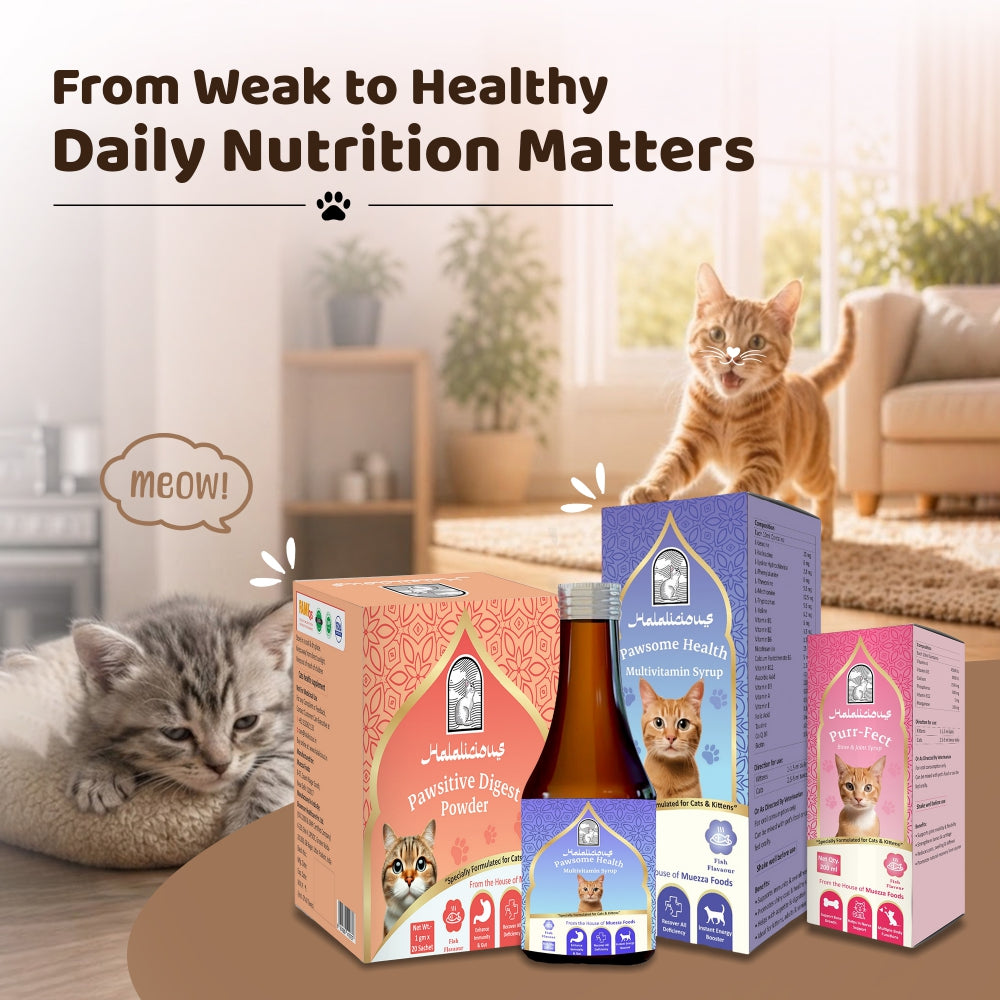 Purr-fect Bone & Joints Syrup for Cats & Kittens.