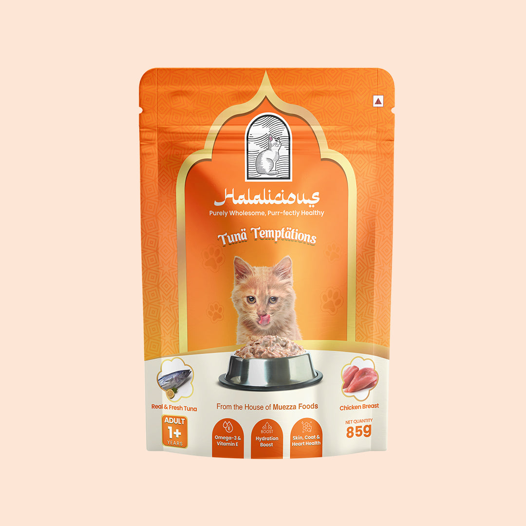 Halalicious Tuna Temptations