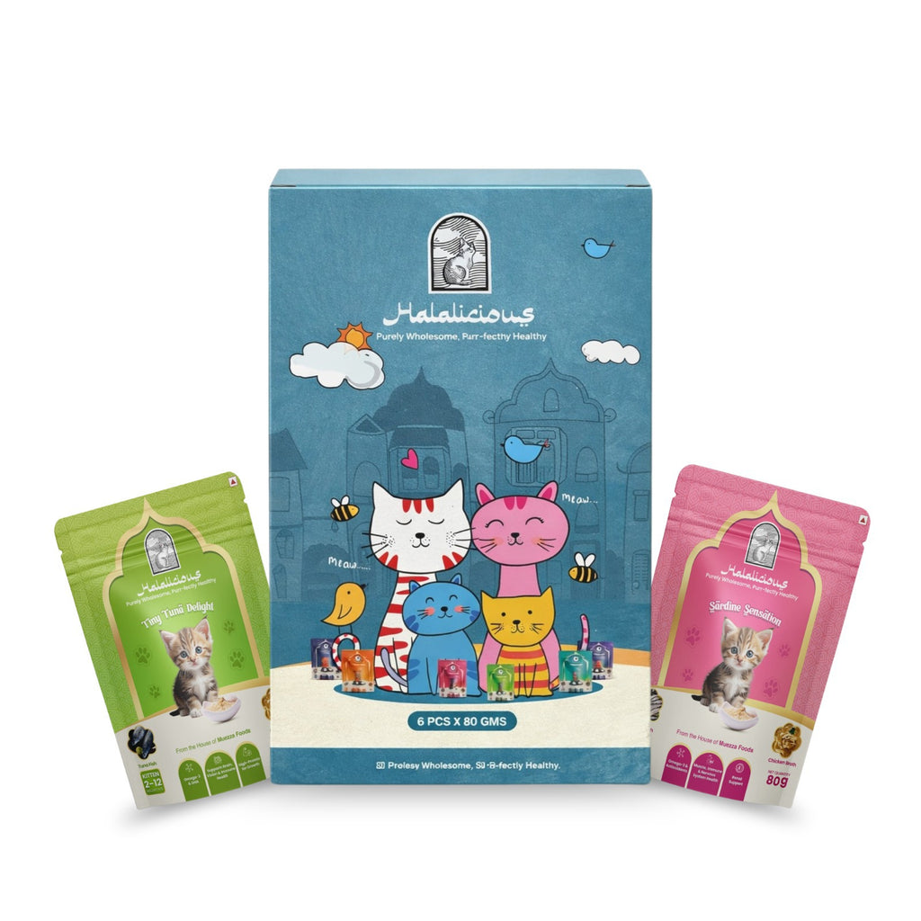 Assorted Kitten Wet Cat Food - Trial Pack