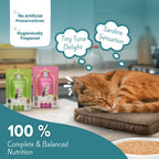 Assorted Kitten Wet Cat Food - Trial Pack