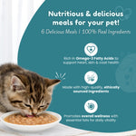 Assorted Kitten Wet Cat Food - Trial Pack