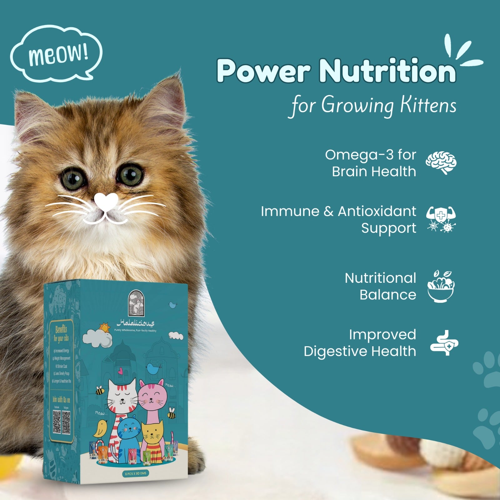 Assorted Adult Wet Cat Food - Trial Pack
