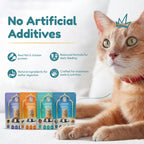 Assorted Adult Wet Cat Food - Trial Pack