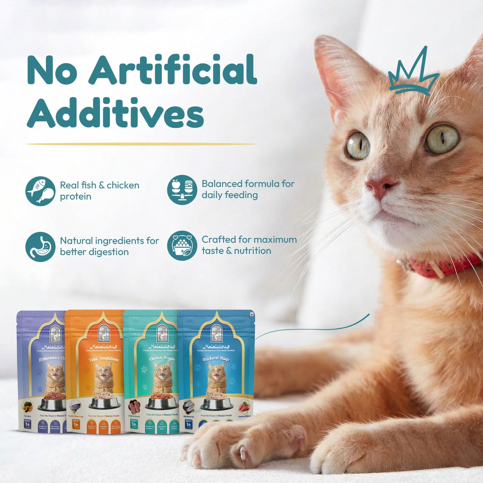 Assorted Adult Wet Cat Food - Trial Pack