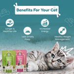 Assorted Kitten Wet Cat Food - Trial Pack - Halalicious India