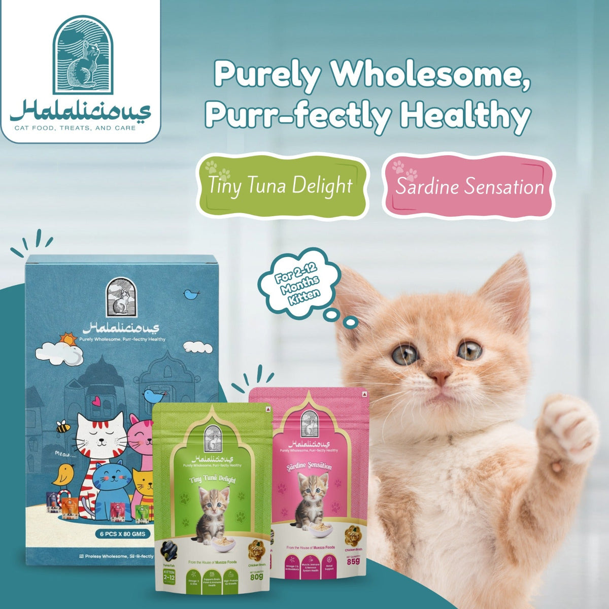 Assorted Kitten Wet Cat Food - Trial Pack - Halalicious India