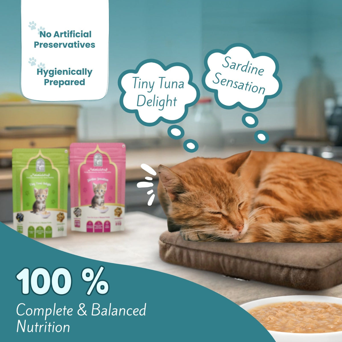 Assorted Kitten Wet Cat Food - Trial Pack - Halalicious India