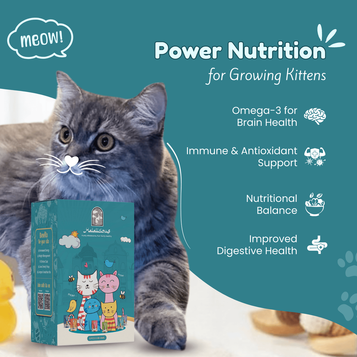 Assorted Kitten Wet Cat Food - Trial Pack - Halalicious India