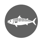 Mackarel