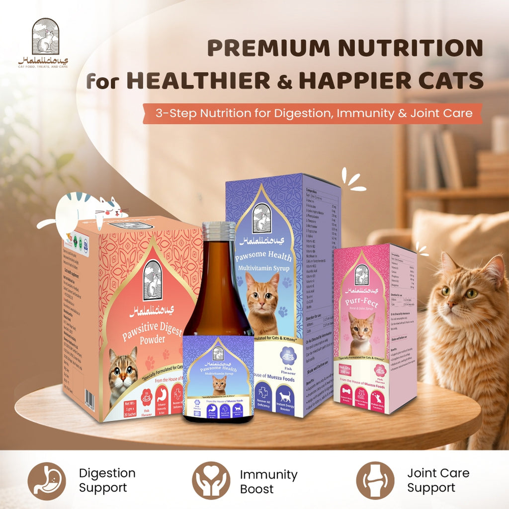 Pawsitive Pre and Probiotic Powder for Cats & Kittens.