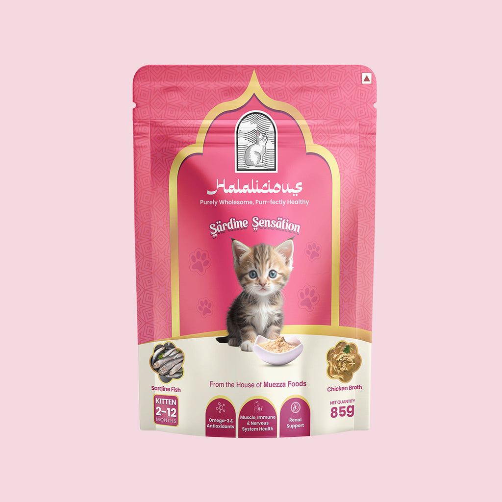 Halalicious Sardine Sensation